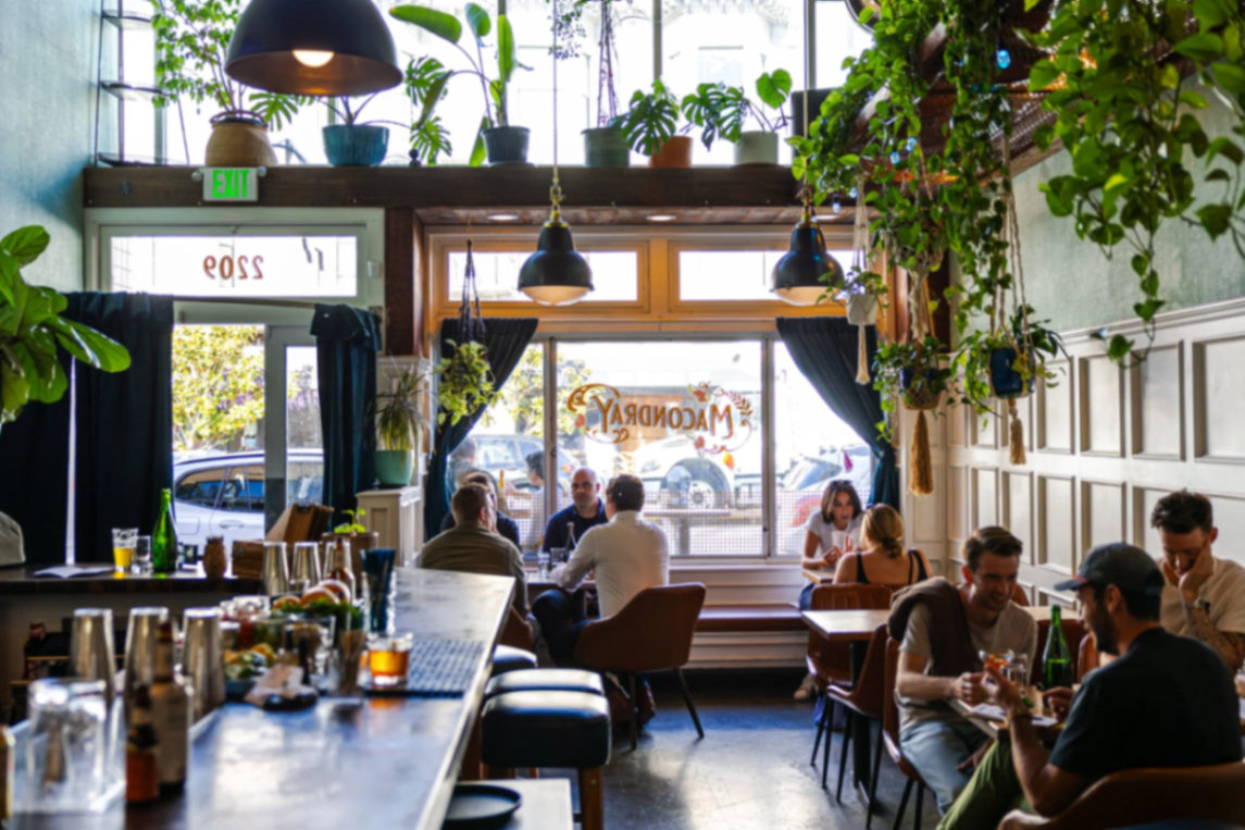 Macondray plant-filled interior with green walls and window seating